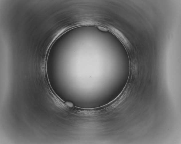 X0000113351244200909221137