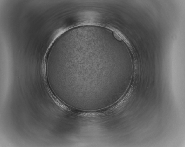 X0000113351246200909221137
