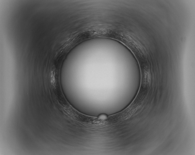 X0000113351250200909221137