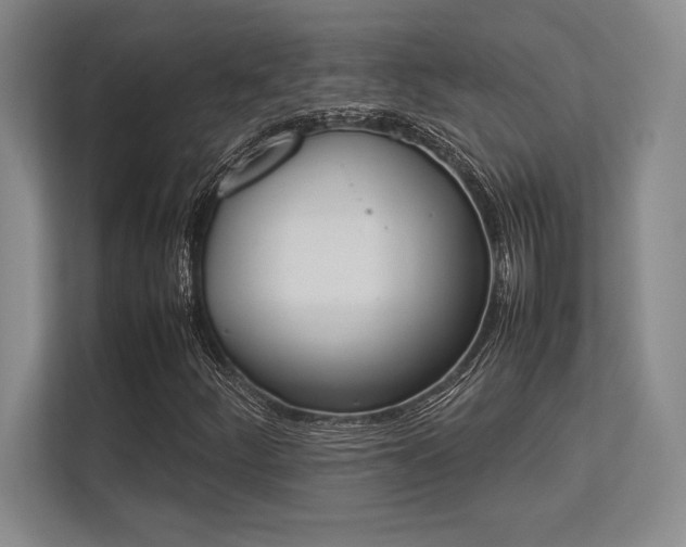 X0000113351252200909221137