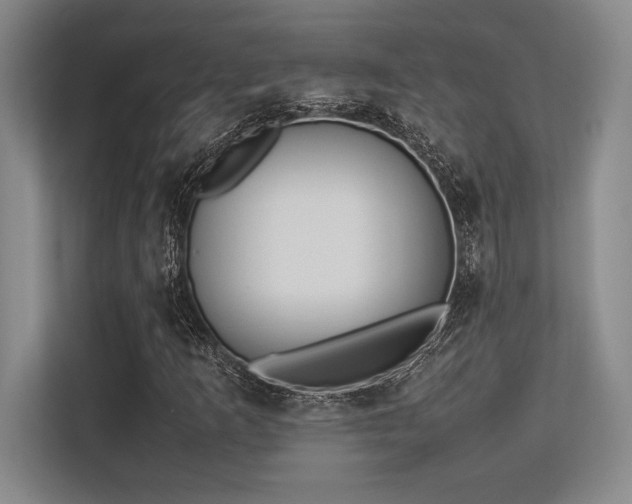 X0000113351253200909221137