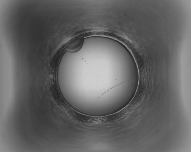 X0000113351255200909221137