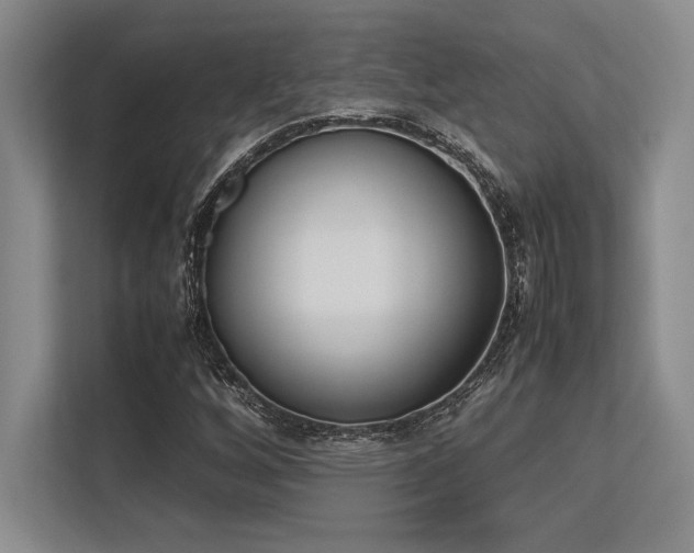 X0000113351256200909221137