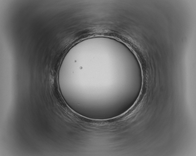 X0000113351257200909221137