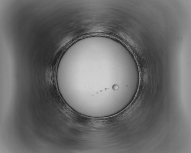 X0000113351258200909221137