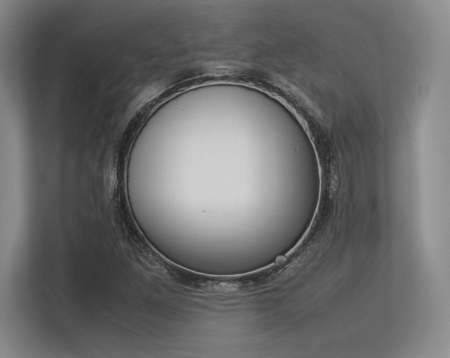 X0000113351261200909221136