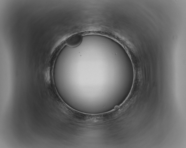 X0000113351262200909221136