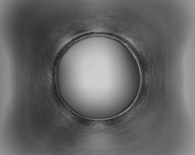 X0000113351263200909221136