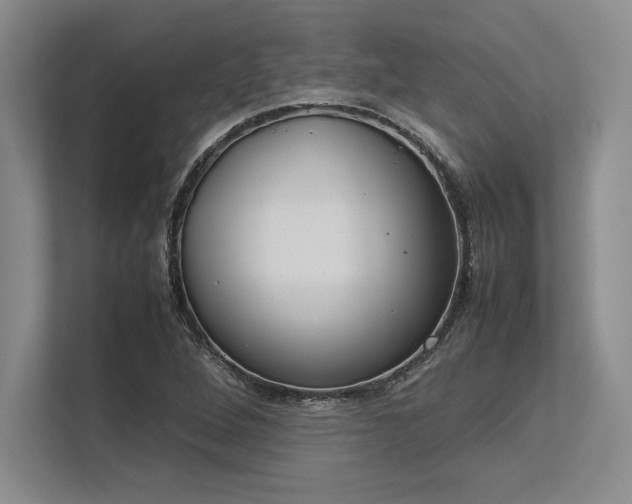 X0000113351264200909221136