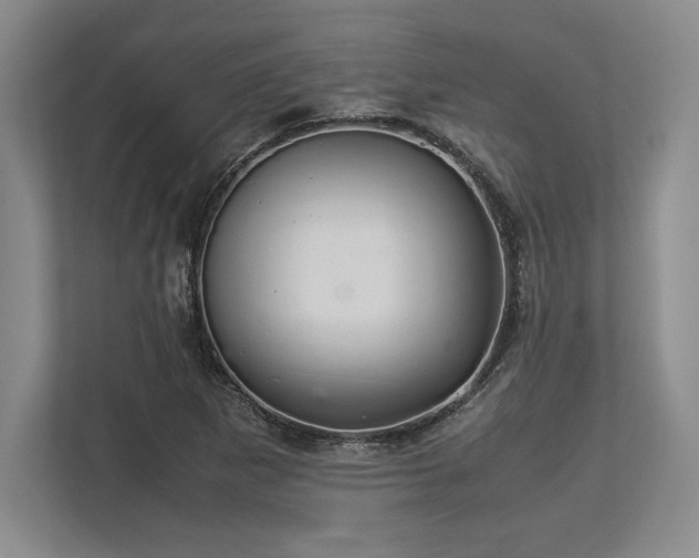 X0000113351265200909221136