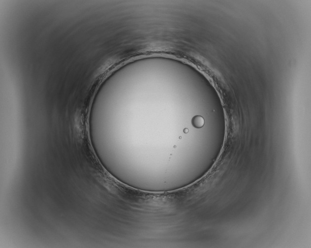 X0000113351266200909221136