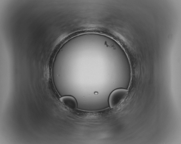 X0000113351267200909221136