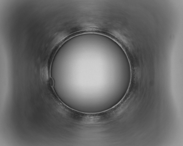 X0000113351269200909221136