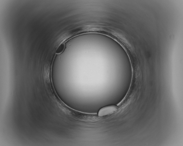 X0000113351273200909221136