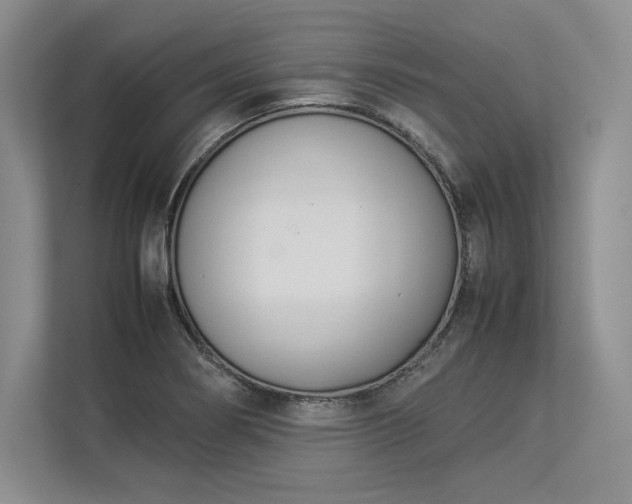 X0000113351274200909221136