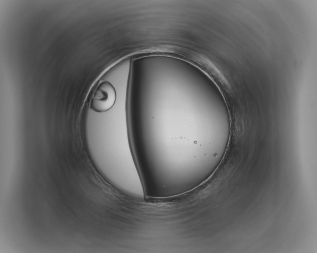 X0000113351276200909221136