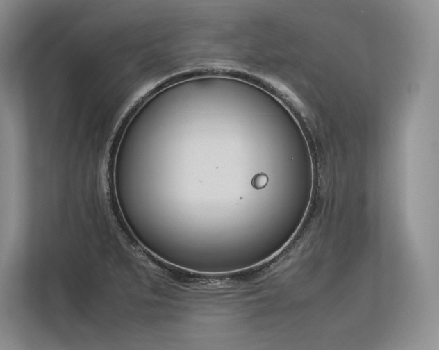 X0000113351279200909221136