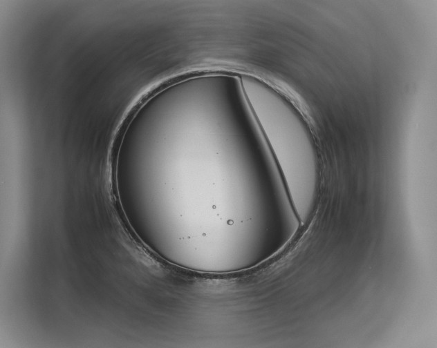 X0000113351280200909221136