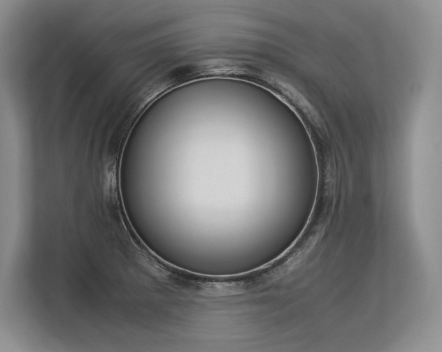 X0000113351281200909221136
