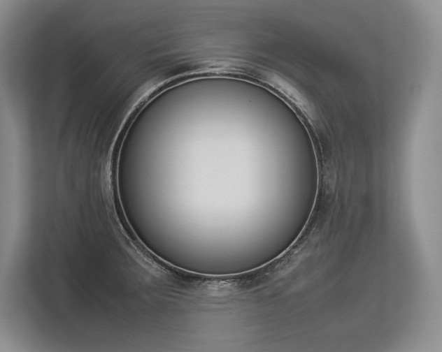 X0000113351283200909221136
