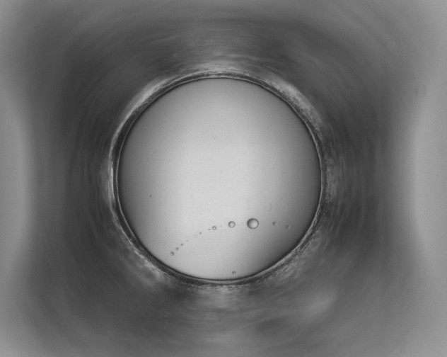 X0000113351286200909221136