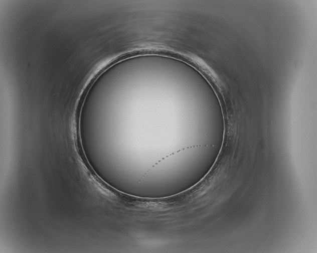 X0000113351287200909221136