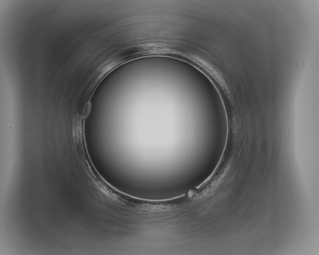X0000113351289200909221136