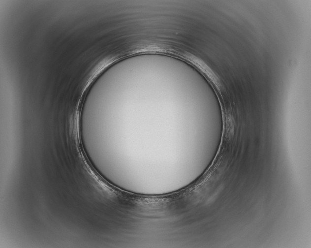 X0000113351290200909221136