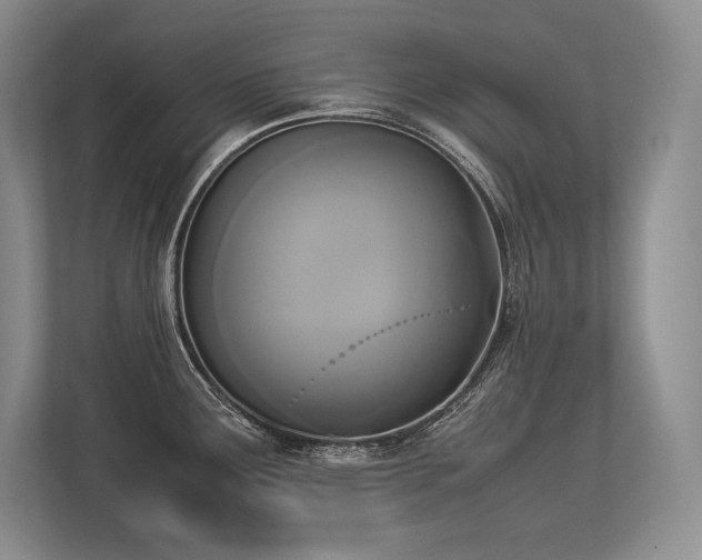 X0000113351291200909221136
