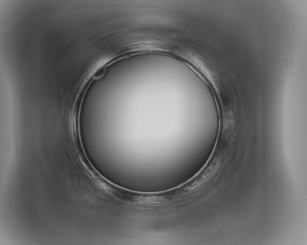 X0000113351293200909221136