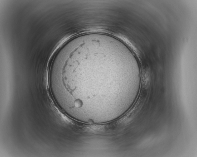 X0000113351294200909221136