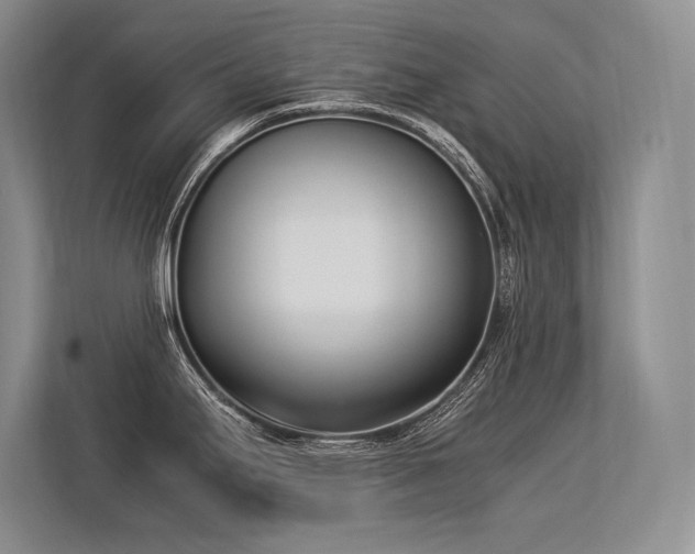 X0000113351295200909221136