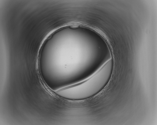 X0000113351296200909221136