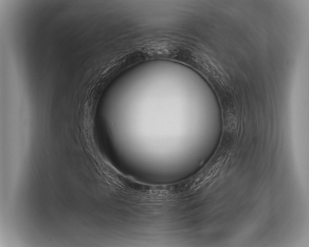 X0000113351297200909221135