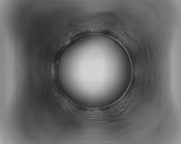 X0000113351298200909221135