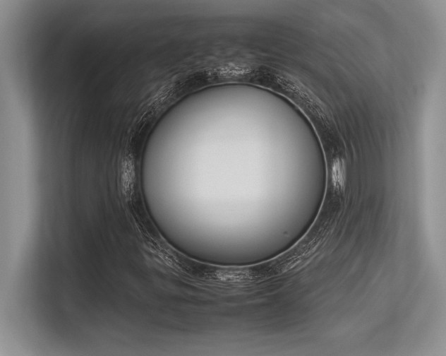 X0000113351299200909221135