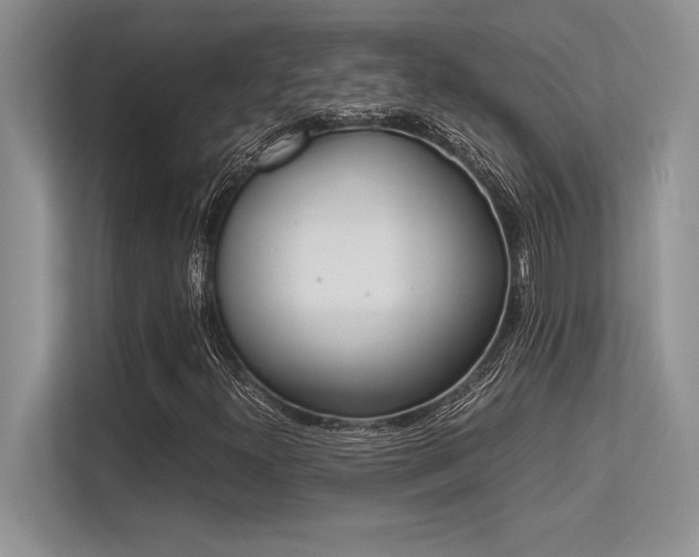 X0000113351300200909221135