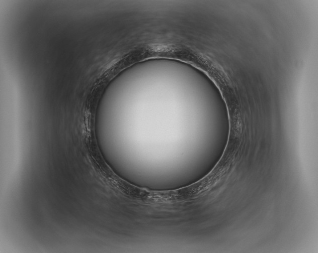 X0000113351301200909221135