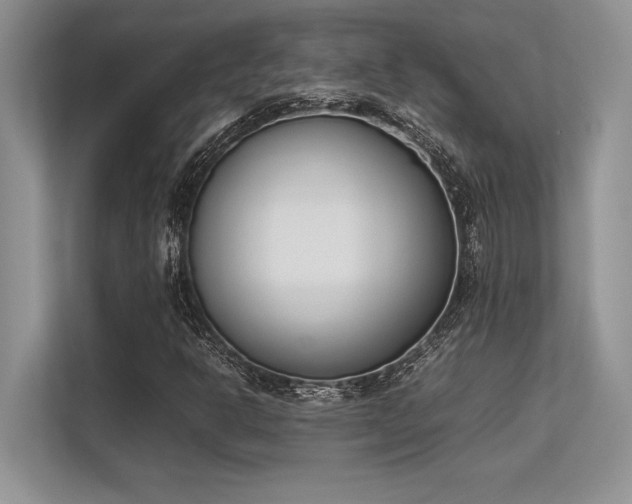 X0000113351302200909221135