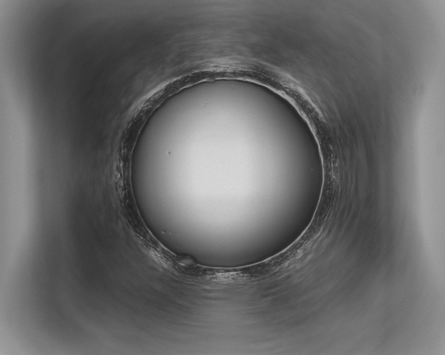 X0000113351304200909221135