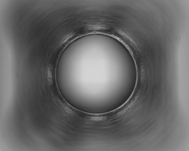 X0000113351305200909221136