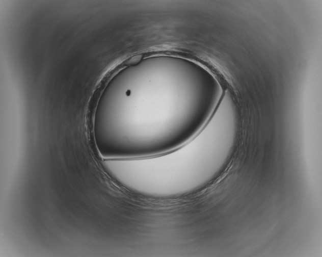 X0000113351308200909221136