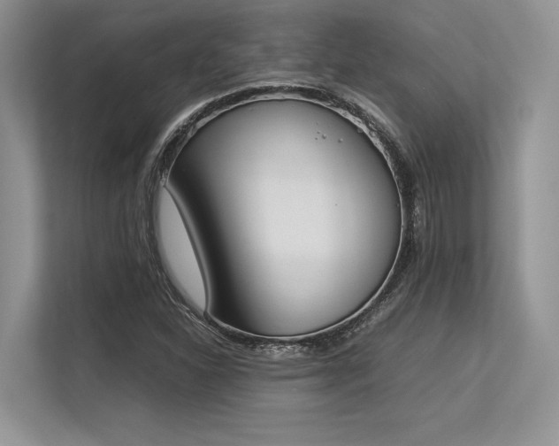 X0000113351310200909221136