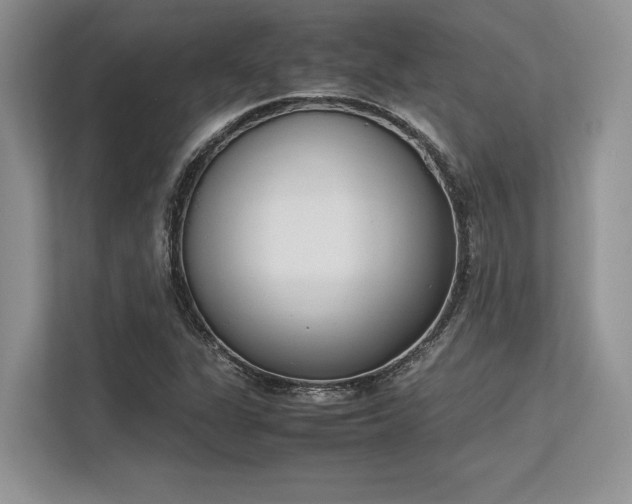X0000113351311200909221136