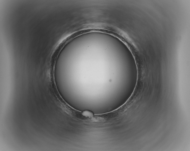 X0000113351312200909221136