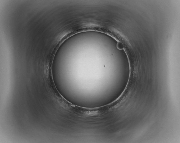X0000113351313200909221136