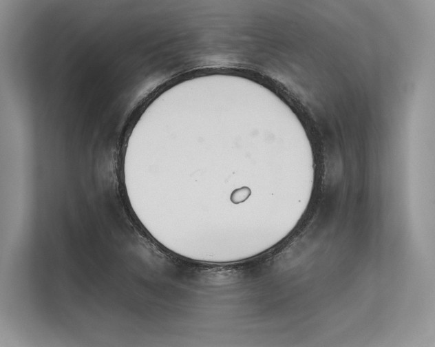 X0000113351314200909221136