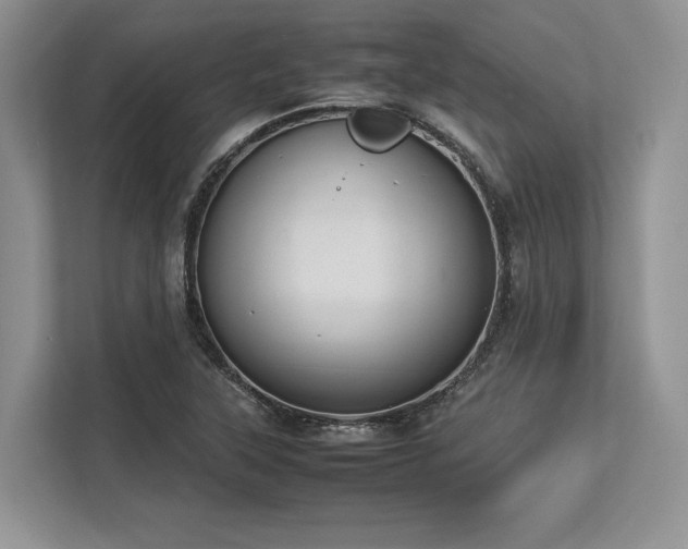 X0000113351315200909221136