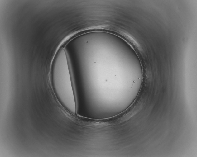 X0000113351324200909221136