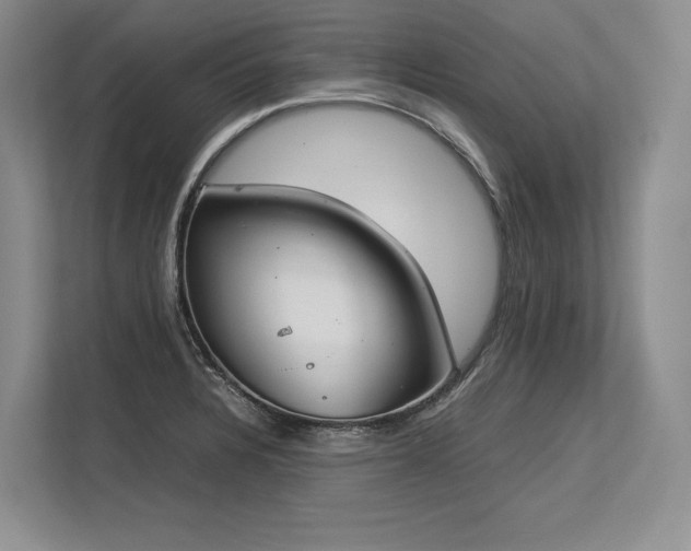 X0000113351328200909221136